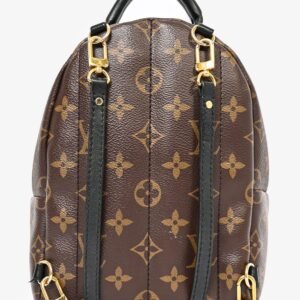 Louis Vuitton Monogram Mini Palm Springs Backpack | AlmaBagz