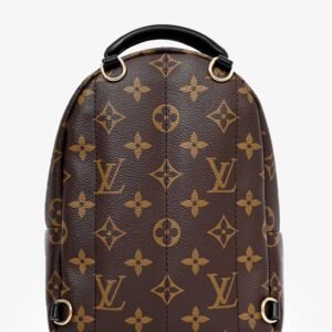 Louis Vuitton 2019 Monogram Palm Springs PM Backpack | AlmaBagz