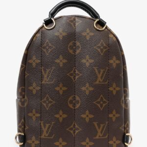 Louis Vuitton 2019 Monogram/Black Palm Springs Mini Backpack | AlmaBagz