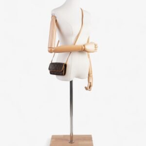 Louis Vuitton Pochette Twin Monogram Coated Canvas PM | AlmaBagz