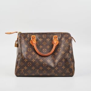 Louis Vuitton Speedy 30 Monogram | AlmaBagz