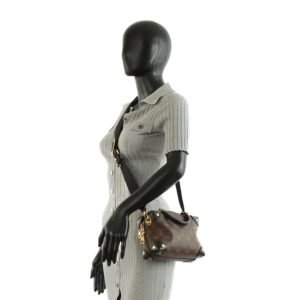 LOUIS VUITTON Monogram Petite Malle Souple | AlmaBagz