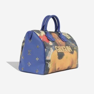 Louis Vuitton Speedy 30 - Jeff Koons | AlmaBagz