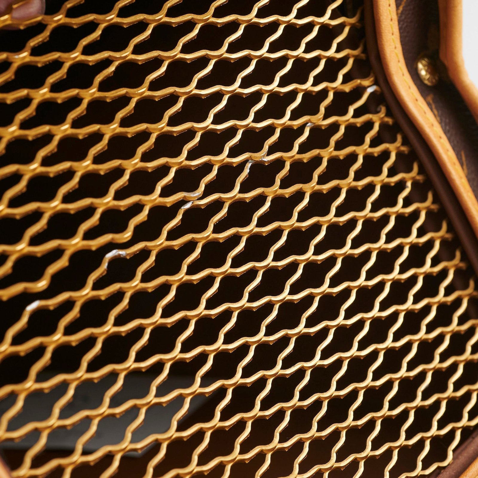 Louis Vuitton Pet Carrier Monogram | AlmaBagz - Image 20