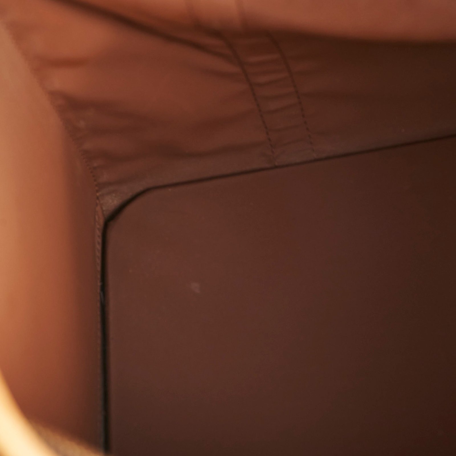 Louis Vuitton Pet Carrier Monogram | AlmaBagz - Image 14