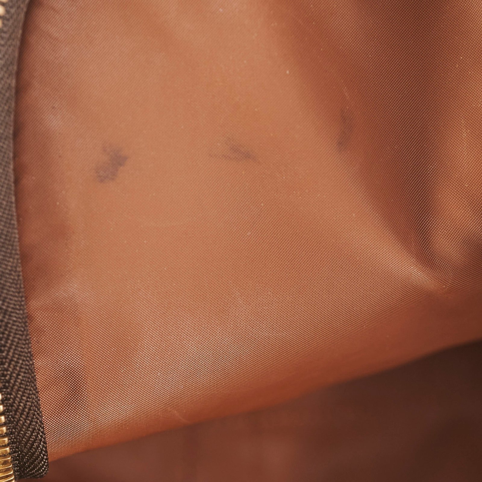 Louis Vuitton Pet Carrier Monogram | AlmaBagz - Image 13