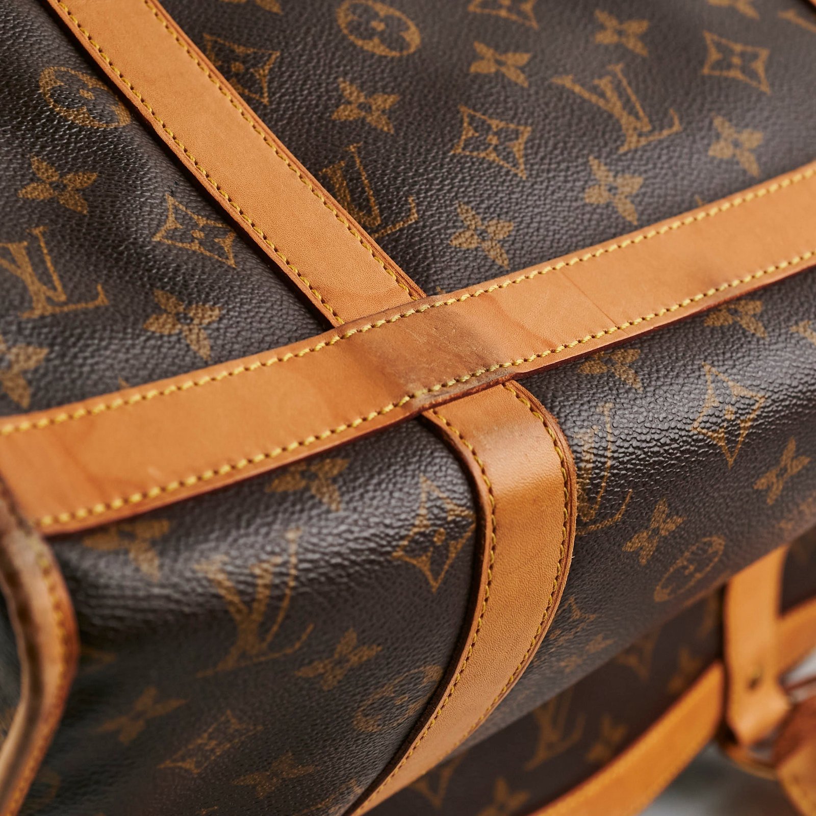 Louis Vuitton Pet Carrier Monogram | AlmaBagz - Image 7
