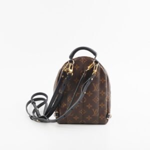 Louis Vuitton Palm Springs Mini Monogram Backpack | AlmaBagz