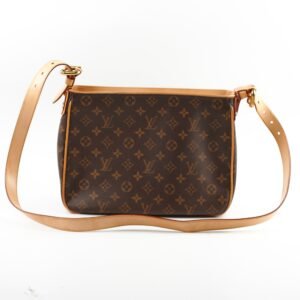 Louis Vuitton Hudson GM Monogram | AlmaBagz