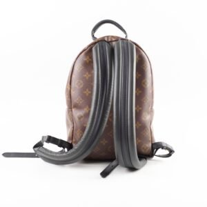 Louis Vuitton PM Palm Spring Backpack Monogram | AlmaBagz