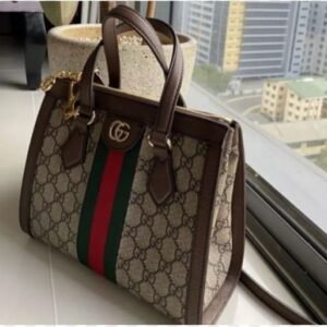 Gucci Master Quality Women's Bag with Long Belt and Brand Accessories (Brown) | AlmaBagz
