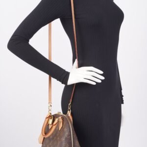 Louis Vuitton Alma Monogram Canvas BB | AlmaBagz