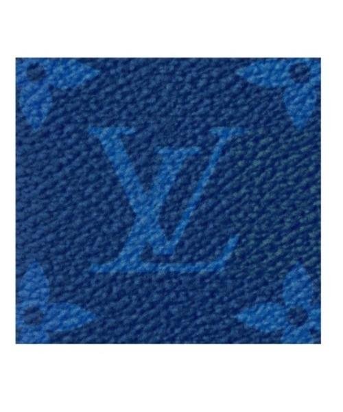 Louis Vuitton Pocket Organiser Taiga Monogram Cobalt | AlmaBagz - Image 5
