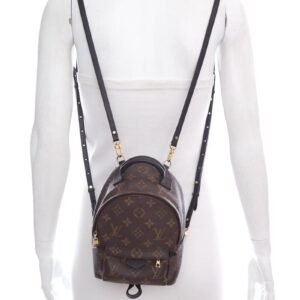 Louis Vuitton Brown Monogram Palm Springs Mini Backpack | AlmaBagz