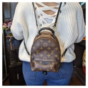 Louis Vuitton Monogram Canvas Palm Springs Mini Backpack | AlmaBagz