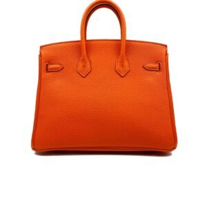 Hermes Orange Birkin 25 Bag | AlmaBagz