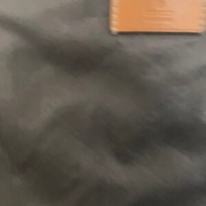 Gucci Purse | AlmaBagz