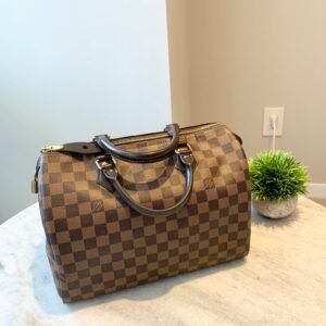 LOUIS VUITTON Damier Ebene Speedy 30 Satchel Bag | AlmaBagz