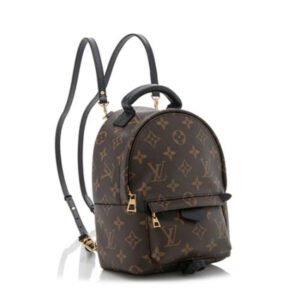 Louis Vuitton Palm Springs Mini Backpack | AlmaBagz