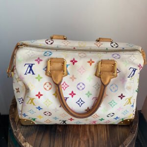 Louis Vuitton Multicolor Monogram Speedy 30 | AlmaBagz