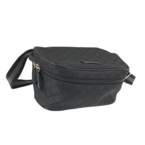 GUCCI GG pattern Waist pouch | AlmaBagz