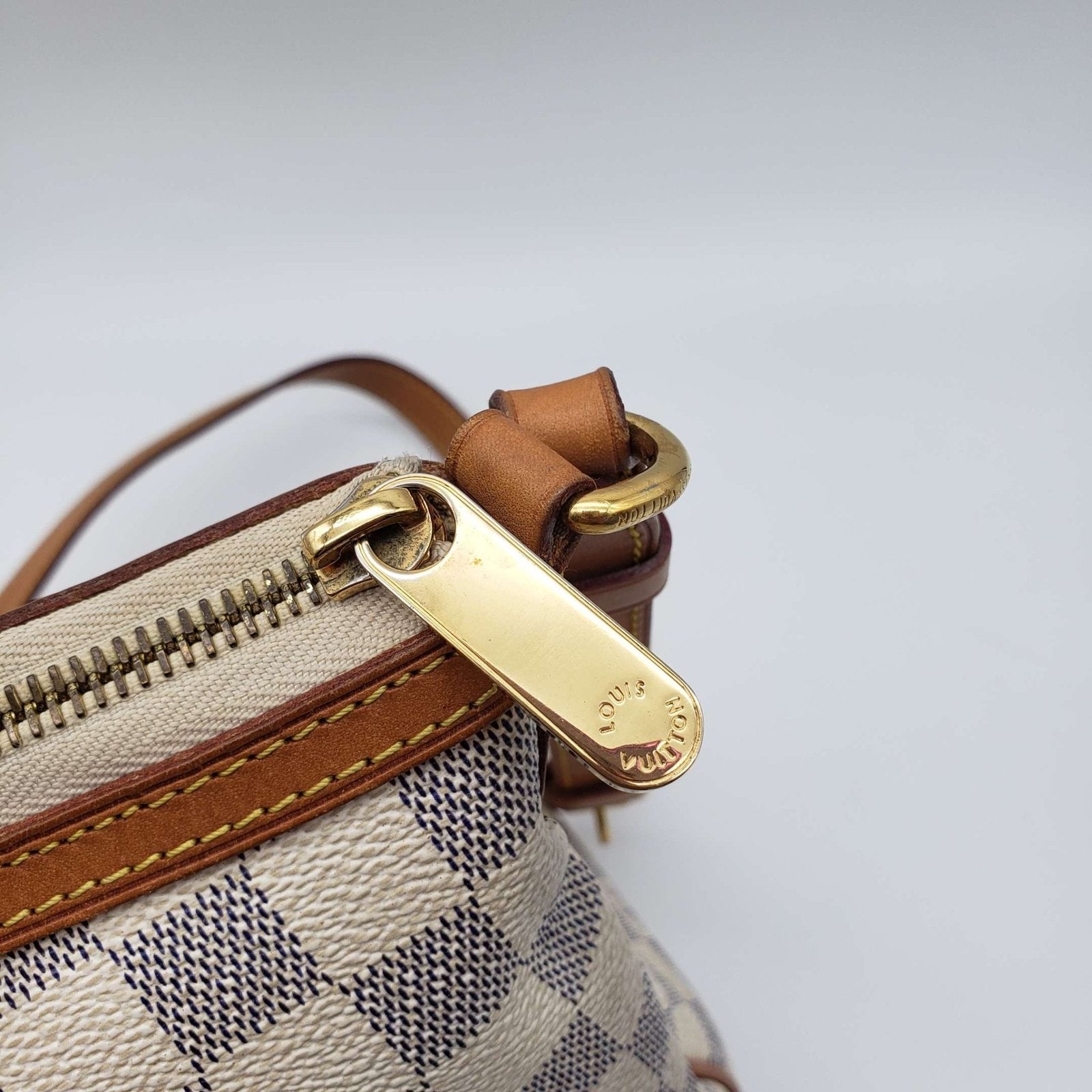 Louis Vuitton Siracusa MM Shoulder Bag | AlmaBagz - Image 6