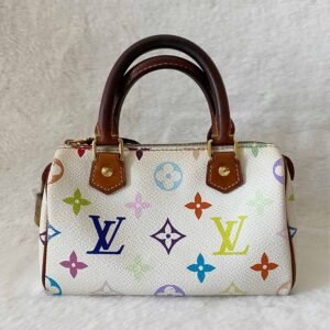 Louis Vuitton Multicolor Monogram Mini HL Speedy | AlmaBagz