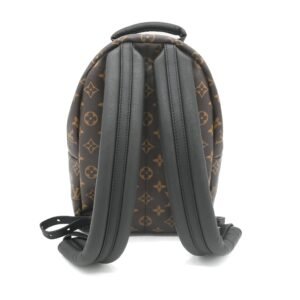 Louis Vuitton Monogram Palm Springs PM Backpack | AlmaBagz