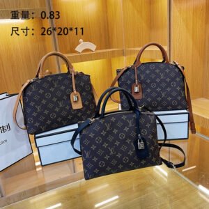 Louis vuitton handbag | AlmaBagz