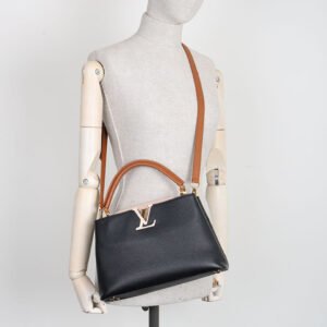 LOUIS VUITTON Capucines PM Tricolor | AlmaBagz