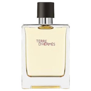 Hermes Terre D'hermes Eau De Toilette 100ml | AlmaBagz