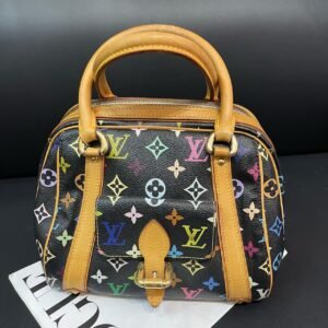 Louis Vuitton Multicolor Monogram Black Canvas Speedy Bag Medium | AlmaBagz