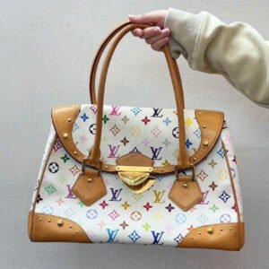Louis Vuitton Multicolor Speedy Bag | AlmaBagz