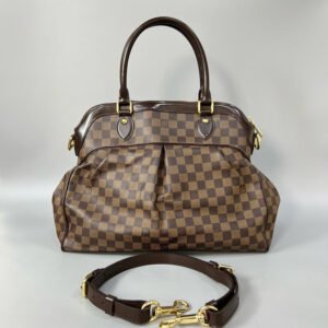 Louis Vuitton Damier Ebene Trevi PM Handbag Brown | AlmaBagz