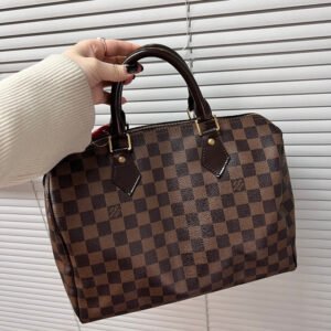 Louis Vuitton Damier Ebene Leather Speedy Bag in Brown - Preloved | AlmaBagz