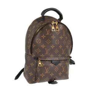 LOUIS VUITTON Monogram Palm Springs Backpack PM M44871 Backpack | AlmaBagz