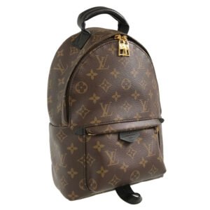 LOUIS VUITTON Monogram Palm Springs Backpack PM M44871 Backpack | AlmaBagz