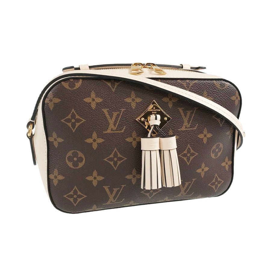 LOUIS VUITTON Shoulder Bag | AlmaBagz