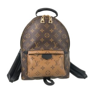LOUIS VUITTON Monogram Reverse Palm Springs Backpack PM M44870 Backpack | AlmaBagz
