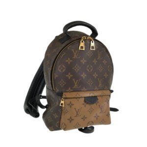 LOUIS VUITTON Monogram Reverse Palm Springs Backpack PM M44870 Backpack | AlmaBagz