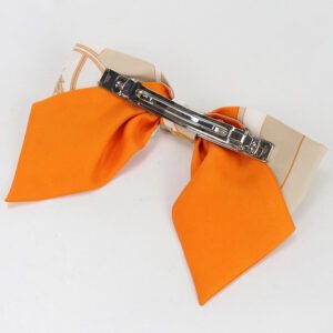 HERMES Valletta Grenelle PM Hair accessories/Hair clip Silk,metal Multicolor Women | AlmaBagz
