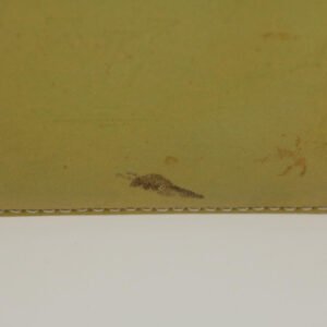 Louis Vuitton Monogram Vernis Houston Hand Bag Gris M91053 LV Auth yk7621 | AlmaBagz